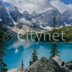 عمده فعالیت سیتی نت در سال‌های اخیر ارائه خدمات طراحی وب سایت، بهینه سازی